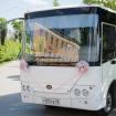 Bus Hyundai (30 мест) 