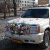 Cadillac Escalade for 20 passengers 