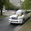 Infinity Qx-56 for 20 passengers 