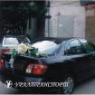Живые цветы №10 